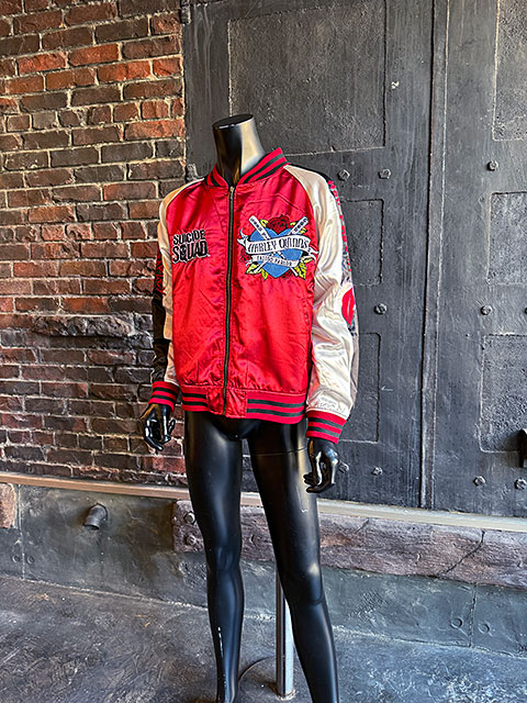 DC���ߥå��������쥤�������ϡ��쥤�������󡡥��������L�������Τߤ�Ÿ������˥��å��������ե������饤���󥹡�����饸���