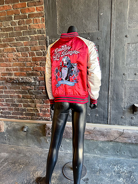 DC���ߥå��������쥤�������ϡ��쥤�������󡡥��������L�������Τߤ�Ÿ������˥��å��������ե������饤���󥹡�����饸���