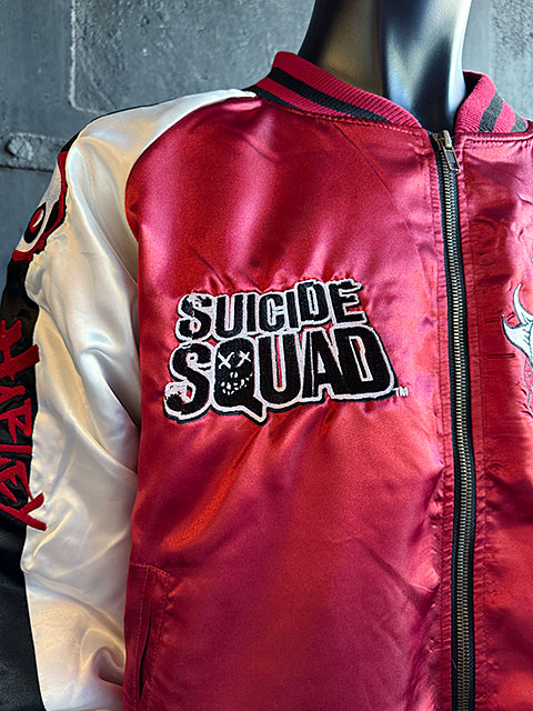 DC���ߥå��������쥤�������ϡ��쥤�������󡡥��������L�������Τߤ�Ÿ������˥��å��������ե������饤���󥹡�����饸���