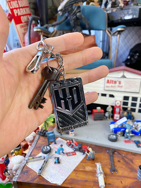 �ϡ��졼���ӥåɥ��󡡥��ե�����롡�᥿�륭���ۥ��������HD����������ܥ�ե����С���