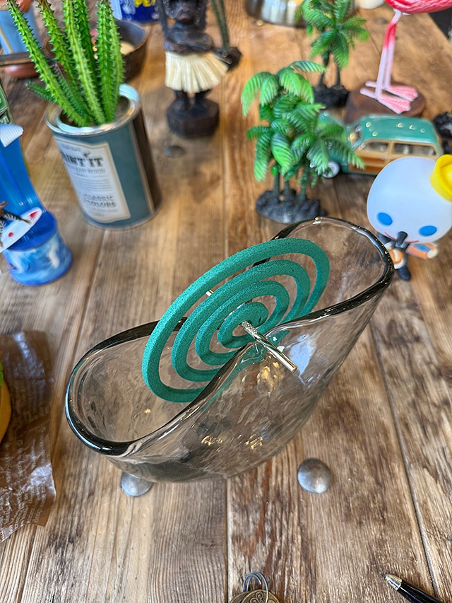 ���ʥ꡼�١�������������ۥ�������ϥ�ɥᥤ�ɥ��饹��