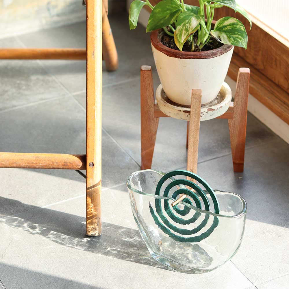 ���ʥ꡼�١�������������ۥ�������ϥ�ɥᥤ�ɥ��饹��