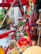 7UP�����֥󥢥åס����ե�����롡�ե�å����ޥ��ͥåȡ���5�ĥ��åȡ�