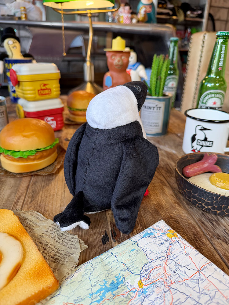 CHUMS������ॹ�����ե�����롡�֡��ӡ��ɡ��롡�̤�����ߡ��ʾ���������