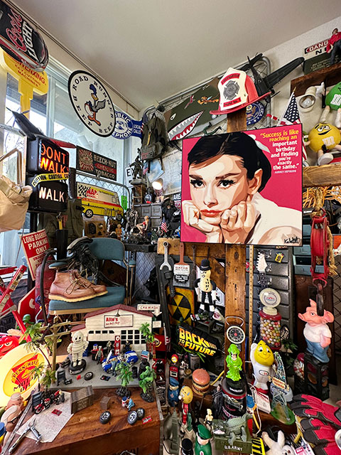 �ǥ���������L��������51cm�������ɥ꡼���إåץС��󡡥ݥåץ����ȥե졼�ࡡ��TYPE1)