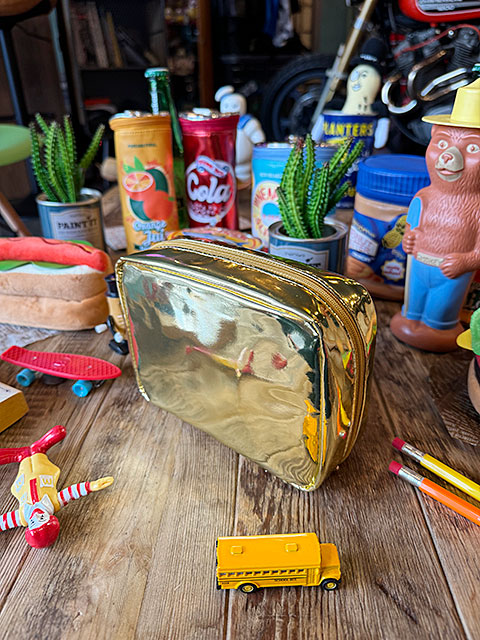 åסաɥѥå꡼ӡմ̡ݡʪ졡yup!