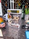 �ե��󥳥ݥåס��������󡡥ե�ǥ������ޡ�����꡼���ե����奢��FUNKO POP!