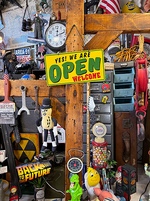 ����ꥫ�󥹥����롡�����ץ�������������ϥ󥮥󥰥����󡡥᥿�륵���󡡡ʥ������������꡼���