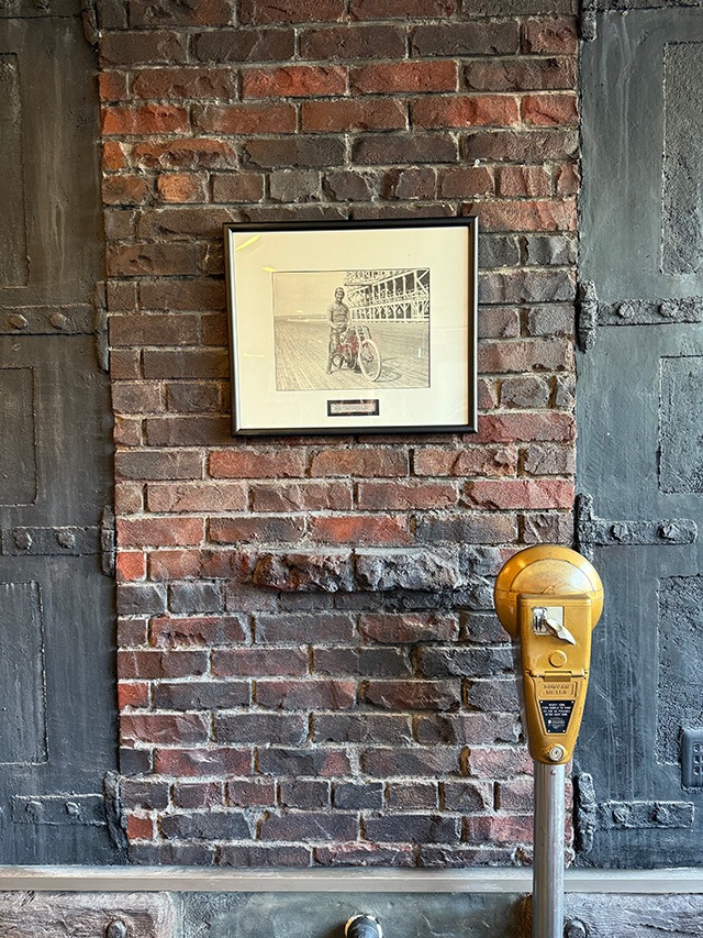 �ϡ��졼���ӥåɥ��󡡥�Υ��������ȡ�������ơ������ե졼�ॢ���ȡ���TYPE2��