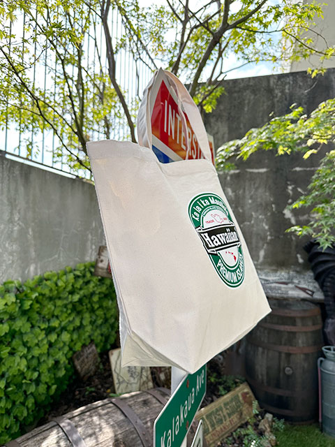 �ϥ磻���󡡥����Х������Хå���L������������46cm