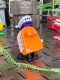 ���㥿��󥰡��ƥ�����������ޤ����ԡ�����ޤ����Ԥ��Ԥ�󥪥���㡡�ʥ���󥸡�