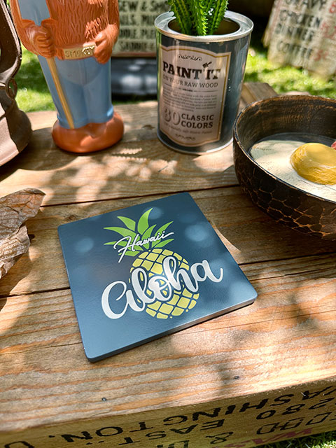 �ϥ磻���󡡥ѥ��ʥåץ롡������������ñ��