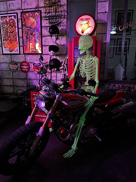 �ŰǤǸ��롪�������祵���� ���߸����ǥ����ץ쥤�������ġ�150cm��L������