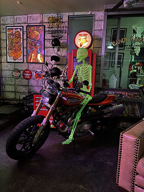 �ŰǤǸ��롪�������祵���� ���߸����ǥ����ץ쥤�������ġ�150cm��L������