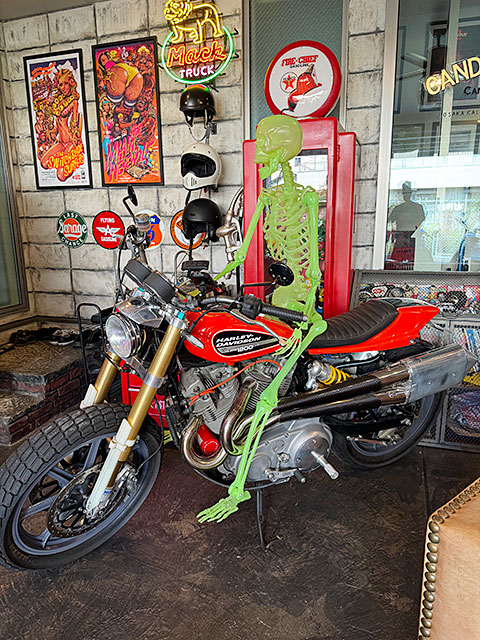 �ŰǤǸ��롪�������祵���� ���߸����ǥ����ץ쥤�������ġ�150cm��L������