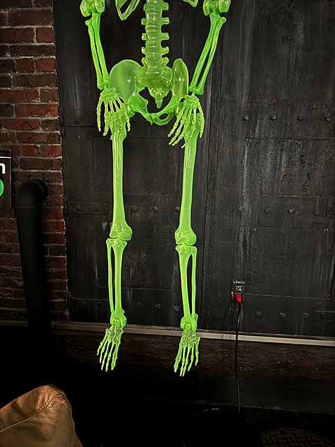 �ŰǤǸ��롪�������祵���� ���߸����ǥ����ץ쥤�������ġ�150cm��L������