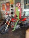 �ŰǤǸ��롪�������祵���� ���߸����ǥ����ץ쥤�������ġ�150cm��L������