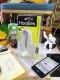 �ա��ǥ������ѡ�������iPod���С�