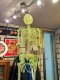�ŰǤǸ��롪�������祵���� ���߸����ǥ����ץ쥤�������ġ�150cm��L������