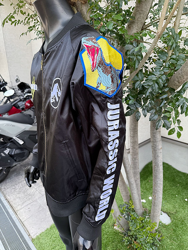 �ǲ衡����饷�å����ɡ����������L�������Τߤ�Ÿ������˥��å���������饷�å��ѡ���������饸���