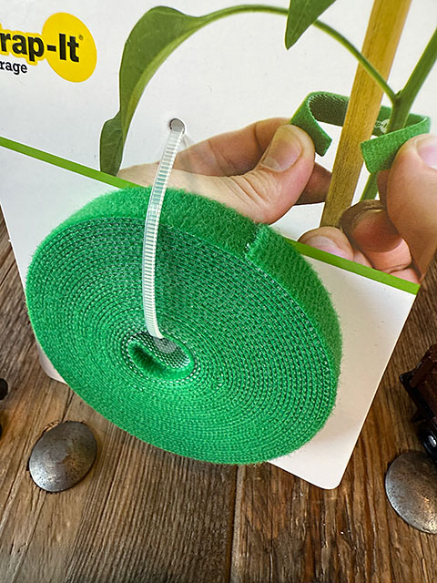 Wrap-it����åץ��åȡ������롡12��������ϥ��ߤǹ�����Ĺ���ǥ��åȤ��ƻȤ���