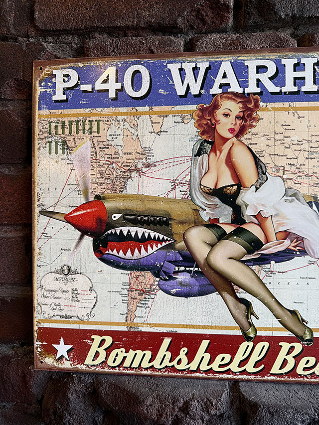 �ߥ꥿�꡼���ԥ�ʥåץ����롡�����ȡ��֥ꥭ���ġ���P-40 WARHAWK��