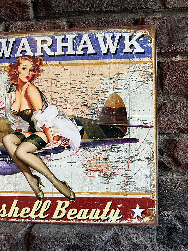 �ߥ꥿�꡼���ԥ�ʥåץ����롡�����ȡ��֥ꥭ���ġ���P-40 WARHAWK��
