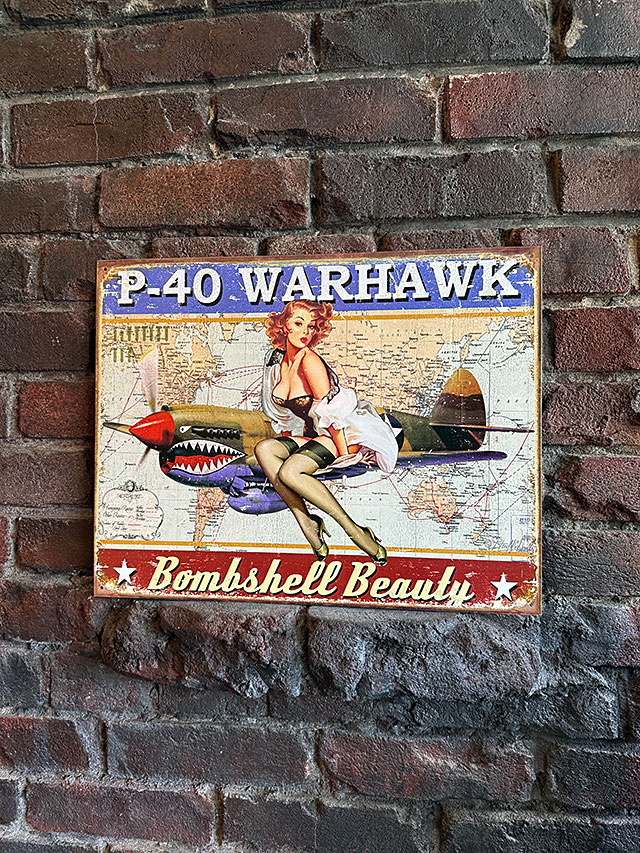 �ߥ꥿�꡼���ԥ�ʥåץ����롡�����ȡ��֥ꥭ���ġ���P-40 WARHAWK��