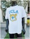 UCLAե롡åTġʥ֥롼٥