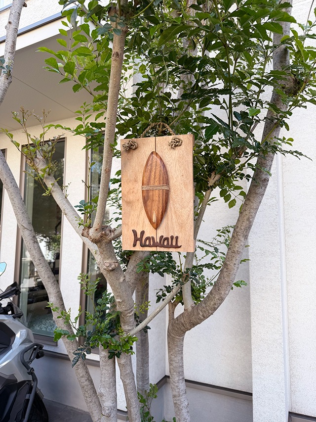 �ϥ磻���󡡥��åɥ�����ܡ��ɡ��ʥ����եܡ��ɡ�