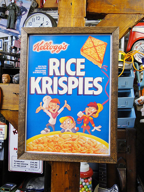 ݥե졼ࡡʥ饤ꥹԡ/ȡˡݥե졼Υå