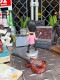 ������������ץ쥹�꡼���ߥ˥ܥ֥�إåɡ��ʥ����꡼�ץ쥹�꡼��