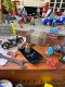 ����ꥫ�ΥХ������Τ���ꡡ�����ǥ�����٥롡�ʥإ�סˡ�MADE IN U.S.A.