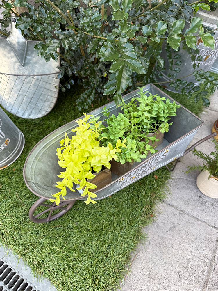 �ե����ޡ����ޡ����åȡ������ǥ󥫡��ȡ����ؼ�