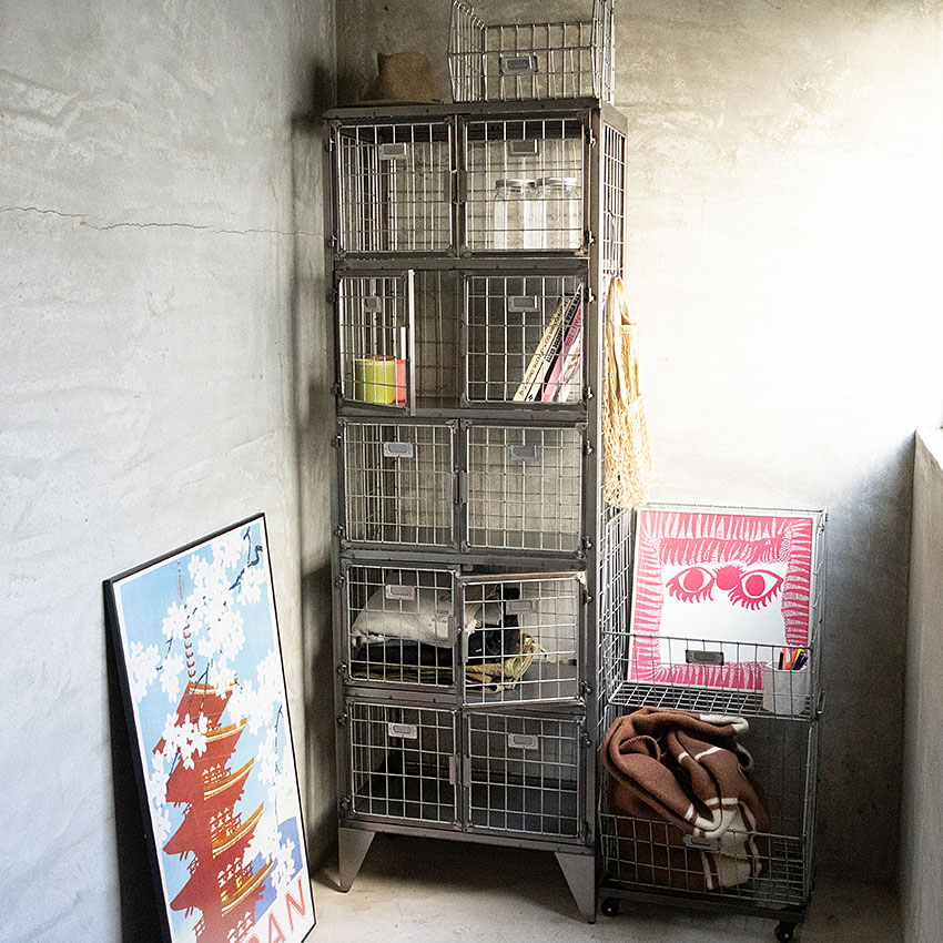 �ߥ꥿�꡼�ƥ����ȡ���å�����å�����5�ʥ����ס���������̵���ʲ��졦Υ������ˡ���̩���Ϸϥե��˥��㡼��FML