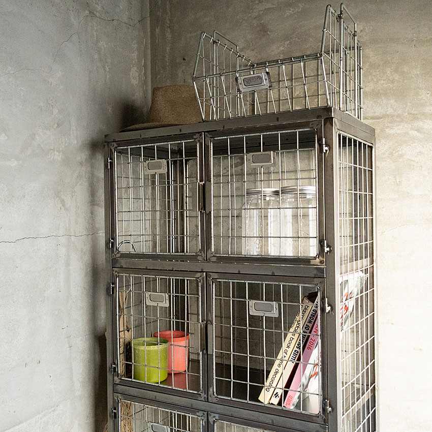 �ߥ꥿�꡼�ƥ����ȡ���å�����å�����5�ʥ����ס���������̵���ʲ��졦Υ������ˡ���̩���Ϸϥե��˥��㡼��FML