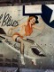 �ߥ꥿�꡼���ԥ�ʥåץ����롡�����ȡ��֥ꥭ���ġ���COWGIRL BLUES��
