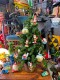 �ϥ磻���󡡥��ꥹ�ޥ������ʥ��ȡ��ʥ��󡡥����ܡ��ɡ�