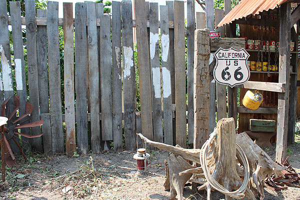 ΤΥ롼66åɥ󡡡ʥ롼66/ե˥