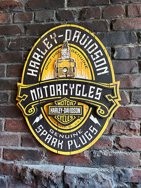 �ϡ��졼���ӥåɥ��󡡥��ѡ����ץ饰���ѥ֥�����