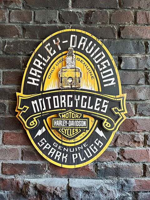 �ϡ��졼���ӥåɥ��󡡥��ѡ����ץ饰���ѥ֥�����