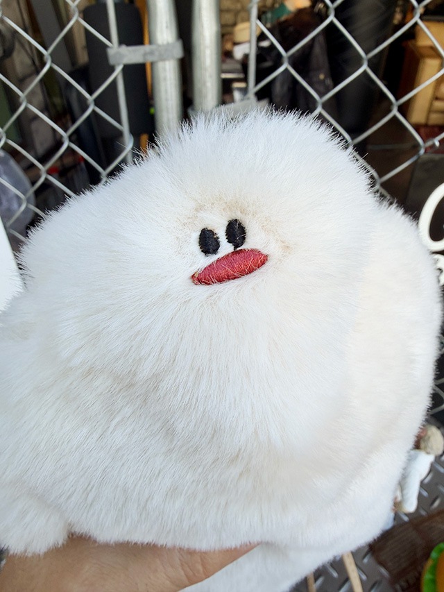 �����ƥ������������ݡ������ʥۥ磻�ȡˡ��̡�����