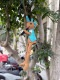 �����ڥ�ɡ��롡�ʥե�����/̴�μ¸��ˡ�ñ�ʡ�˭����������������⤿�餹����