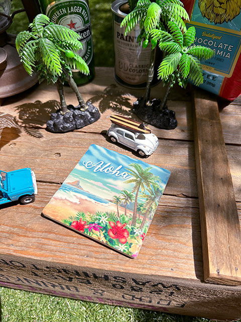 �ϥ磻������ɥ��ȡ��󥳡����������ʥӡ�����