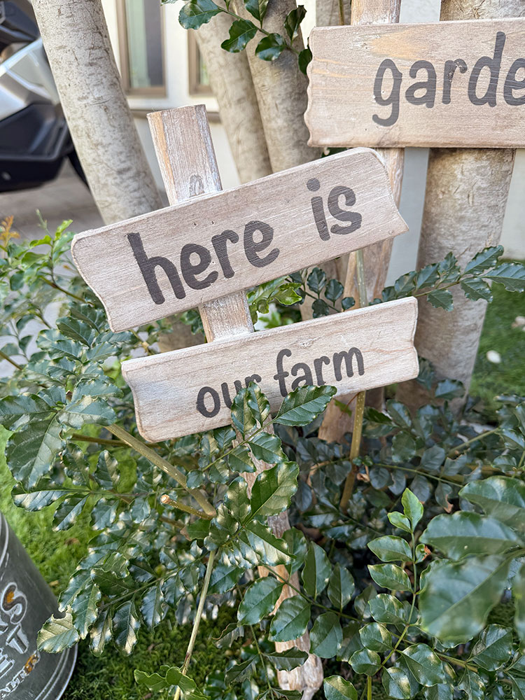 ��OUR FARM�� & ��OUR COMMON GARDEN�ס����å����������ǥ󥵥���ܡ��ɡ���2�ĥ��åȡ�