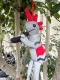 �����ڥ�ɡ��롡�ʥ�ե쥯����/���̰����ˡ�ñ�ʡ�˭����������������⤿�餹����