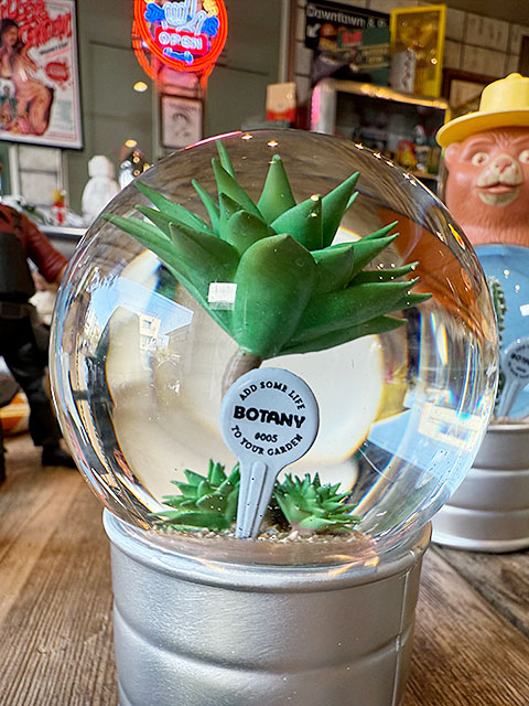 ����ȥ󡡥ץ��ġ������������������֡��ʥ��ƥʡ����ˡ������١����Ρ��ɡ��ࡡ���Ρ���������