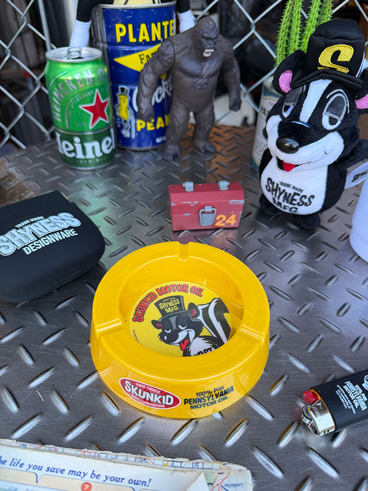 ���㥤�ͥ��������󥭥åɡ����ߥ󡡥��å���ȥ쥤������