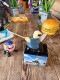 ����饤�����̻����졡�Ĥޤ褦�����������