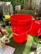 �ƹ�꡼�������ȼҡ�5�����󡡥Х��ġ��ե��դ���MADE IN U.S.A.���ʥ�åɡ�